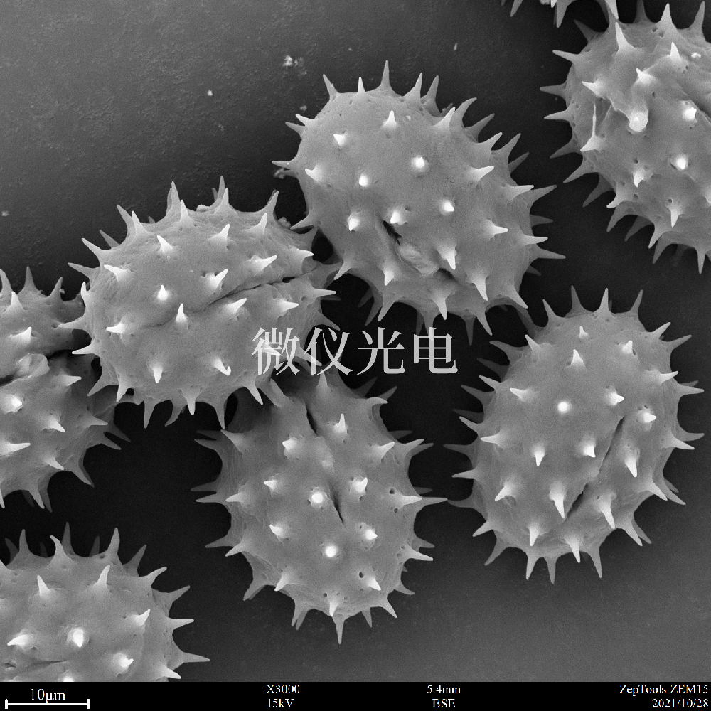 sem掃描電鏡的原理、組成、基本參數(shù)和應用的介紹